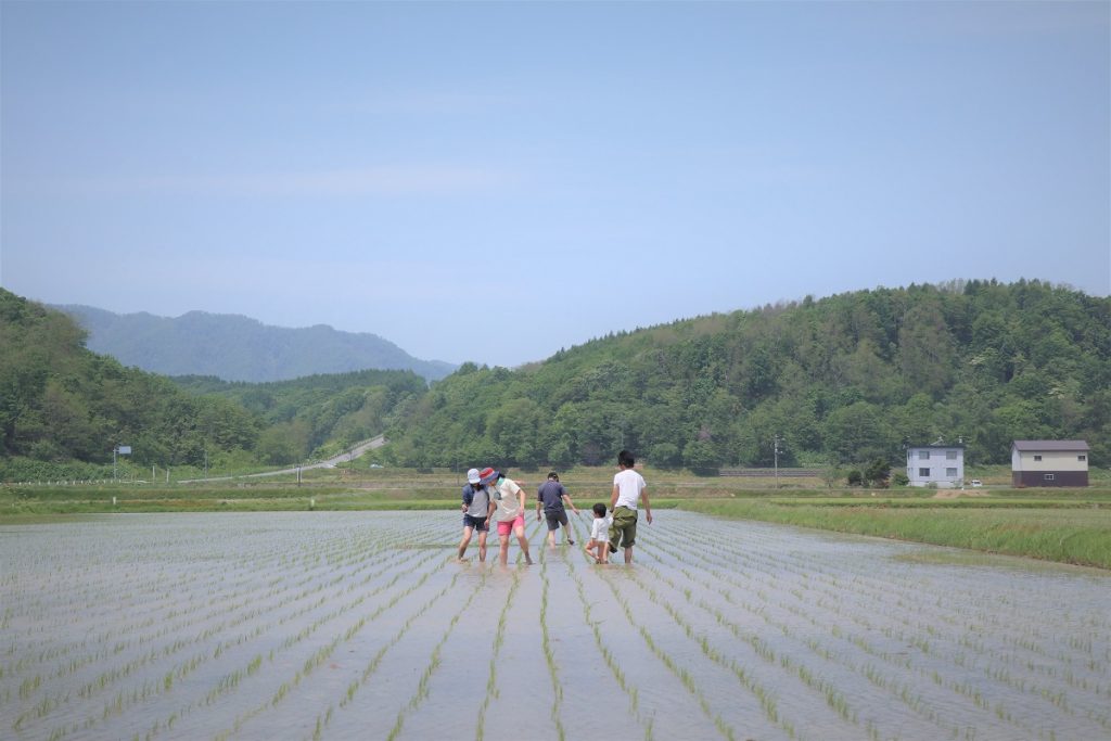 Hokkaido Travel