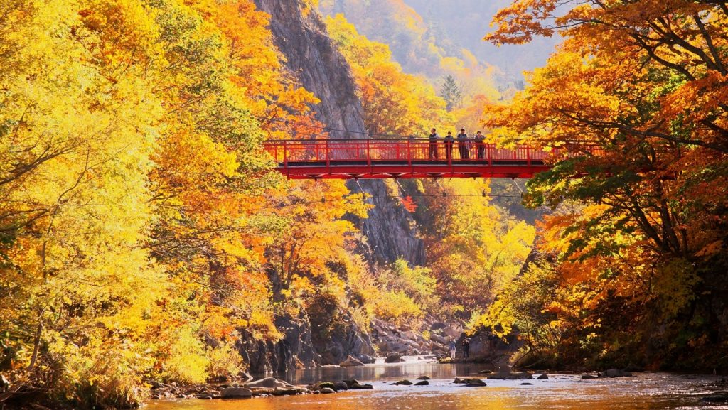 Hokkaido Travel