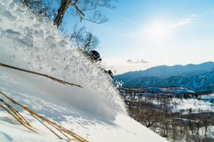 Hokkaido Travel
