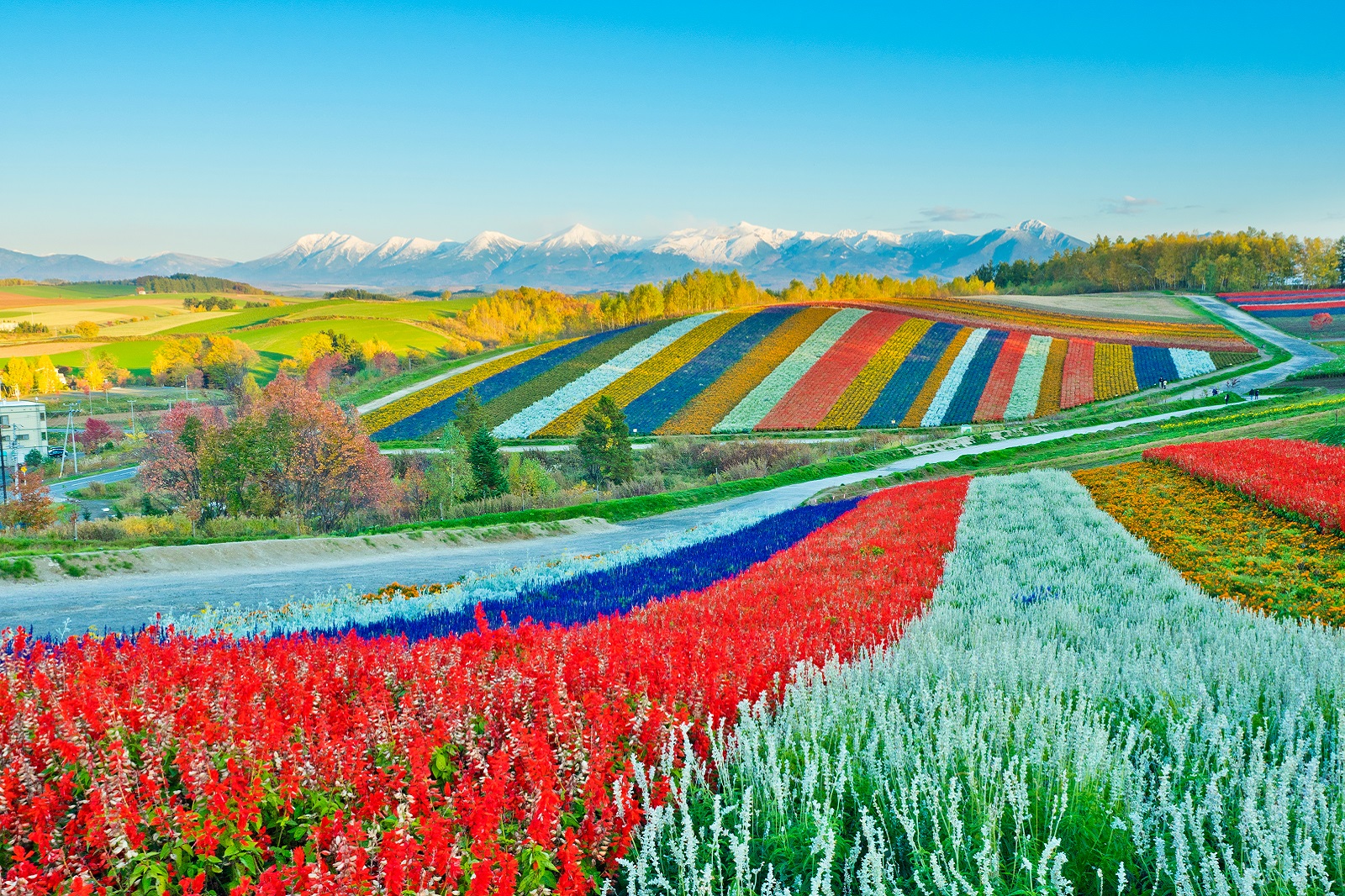 Hokkaido Travel