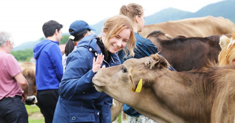 Hokkaido Travel