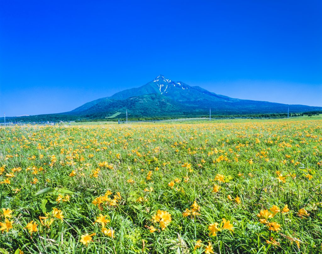 Hokkaido Travel