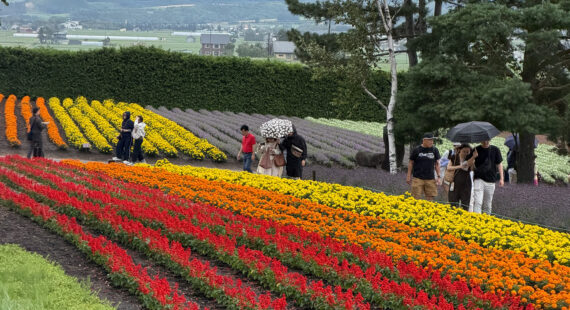 Hokkaido Travel