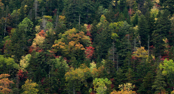 Hokkaido Travel