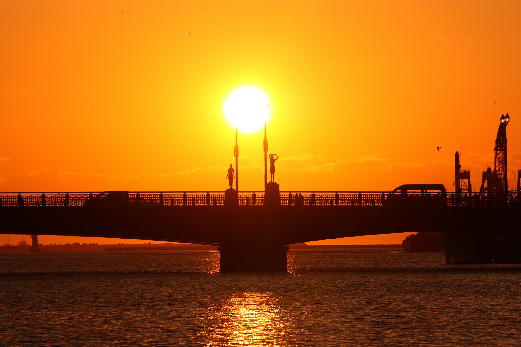 kushiro crane tour