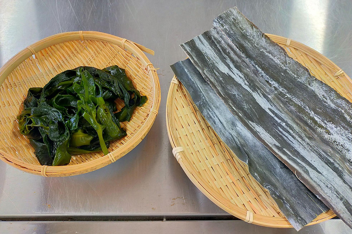 Kombu Vs Kelp (5 Facts For Your Next Delicious Culinary Adventure)