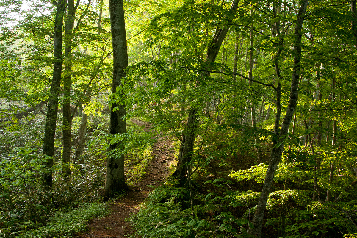 World Heritage Sites in Hokkaido：Jomon Prehistoric Sites in Northern ...