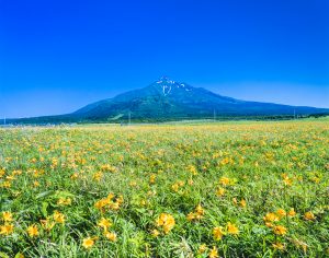 Hokkaido Travel